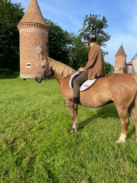 faire travailler son cheval faire travailler son cheval