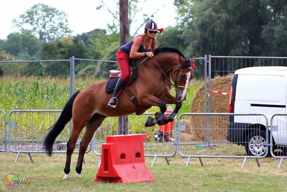 concours saut d'obstacle