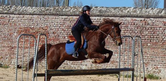 saut d'obstacle