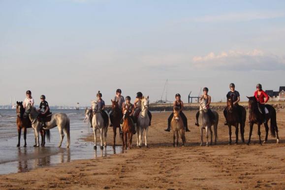 stage d'équitation