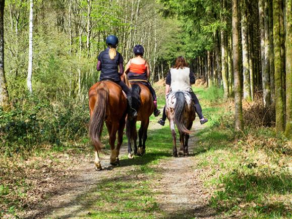 promenade à cheval