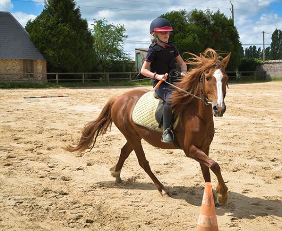 cours équitation enfants