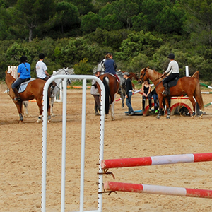 saut d'obstacle