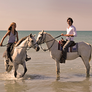 cheval au bord de mer